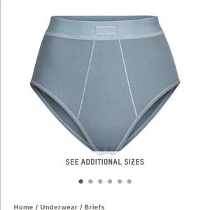 Skims bundle: Cotton Rib briefs and tank top- kyanite